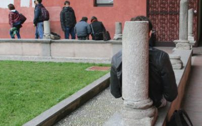 Aprender el know how: mostrar cómo coloca un profesional piedra natural en el suelo o en paredes y fachadas