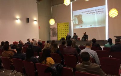 Nuevos retos del sector de la Piedra Natural