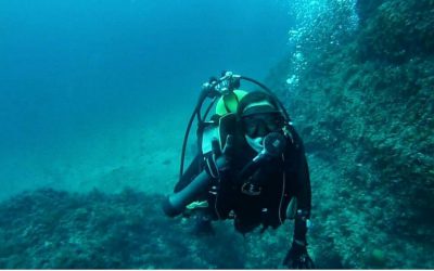 El CTM contrata a una investigadora para el desarrollo del proyecto Coral3D