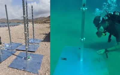 El CTMarmol inició el estudio de hidrodinámica del proyecto CORAL 3D en la Reserva Marina de Cabo Tiñoso