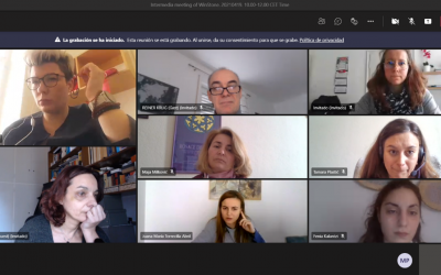 Reunión online del proyecto WinSTONE