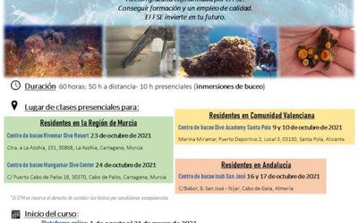 Se abre el plazo de presentación de inscripciones para el proyecto ReReef: Técnicas de restauración ecológica …